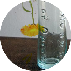 Kandil Glass - Pharmaceutical